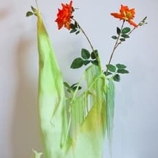 Julia Blume