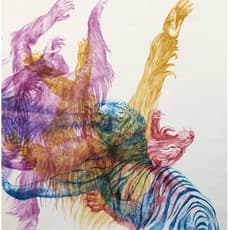 Camille Pozzo di Borgo