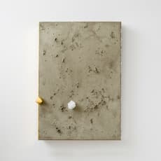 Shinji Turner-Yamamoto