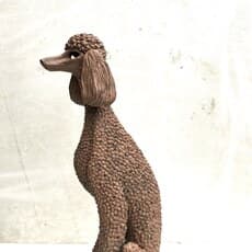 Alice Zanin
