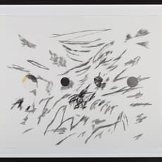 Julie Mehretu and Jessica Rankin