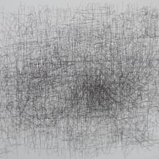 Dan Miller (b. 1961)