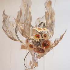 Manju Shandler