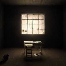 Yang Yongliang 杨泳梁