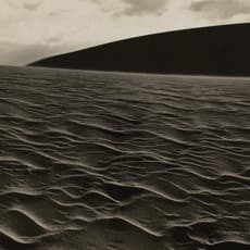 Toru Kono 河野 徹