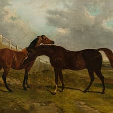 John Frederick Herring Sr.
