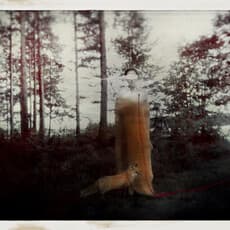 Ana Priscila Rodriguez