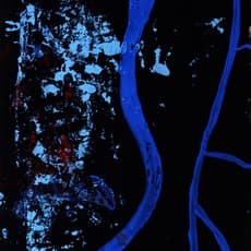 Shinro Ohtake