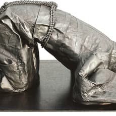 Cai Zhisong 蔡志松