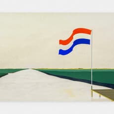 Aart Van Kruiselbergen