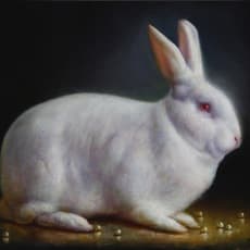 Rose Freymuth-Frazier