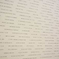 Eduardo Navarro (b. 1979)