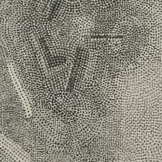 Wang Jieyin 王劼音