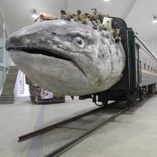 Huang Yong Ping 黄永砯