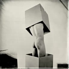 Matthew Finley