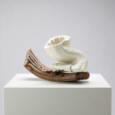 Caroline Chouler Tissier