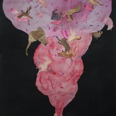 Qin Han