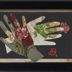Eileen Forrester Agar