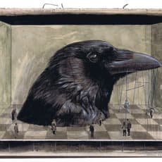 Gideon Kiefer