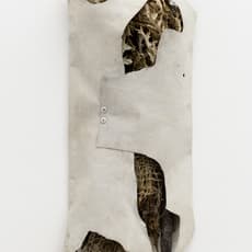 Tomás Díaz Cedeño