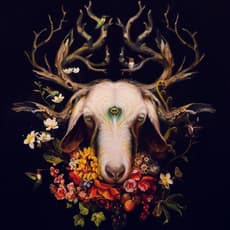Martin Wittfooth