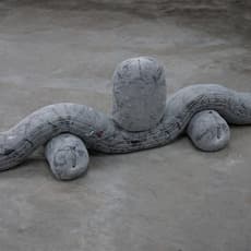 Maximiliano Rosiles