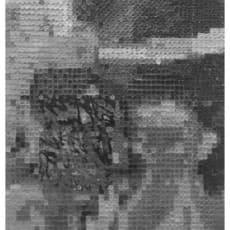 Widi Pangestu Sugiono