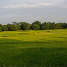 Omar Adnan Chowdhury