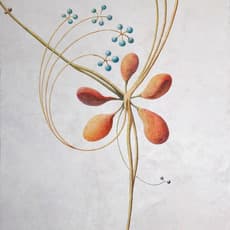 David Thorpe
