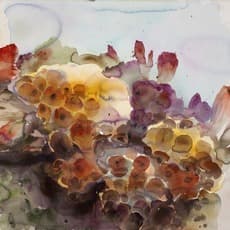 Ru Xiaofan 茹小凡