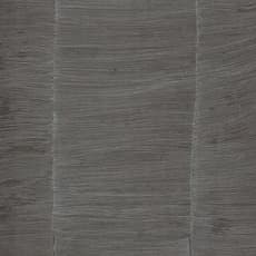 Wang Shilong 王世龙