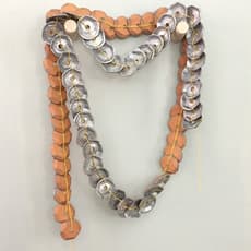 Caroline Hayes Charuk