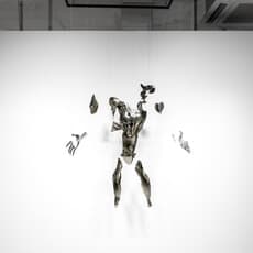 Haining WANG