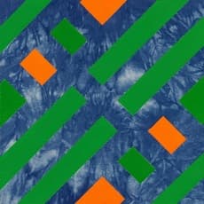 Hisham Akira Bharoocha