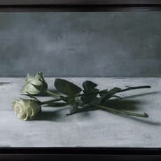 Jane Beharrell