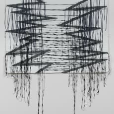 Liz Collins (American), Genesis (2021)