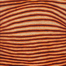 Eileen Napaltjarri