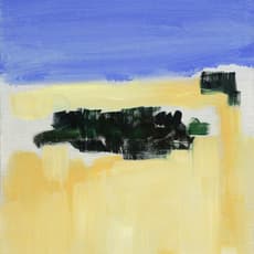 Pamela Wilson-Ryckman