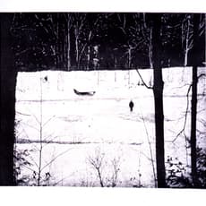 Peter Doig