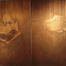 Chen Yujun 陈彧君