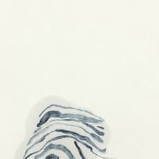 Margrét H. Blöndal