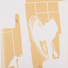 Carol Lee Mei Kuen 李美娟