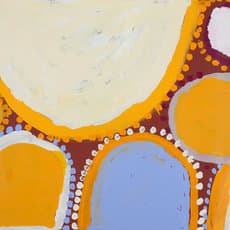 Sandy Brumby