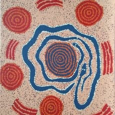 Andrew Spencer Tjapaltjarri