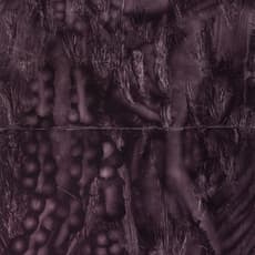 António Neves Nobre