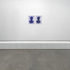 Sara VanDerBeek