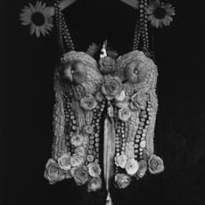 Michiko Kon (今 道子)