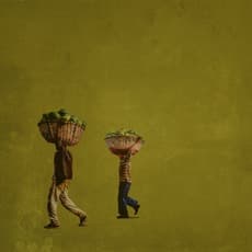 Girma Berta