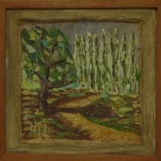 Amadeo Luciano Lorenzato