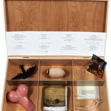 Ross Bleckner, Mike Kelly, Simon Leung, Louise Bourgeois, Kiki Smith, and Lorna Simpson